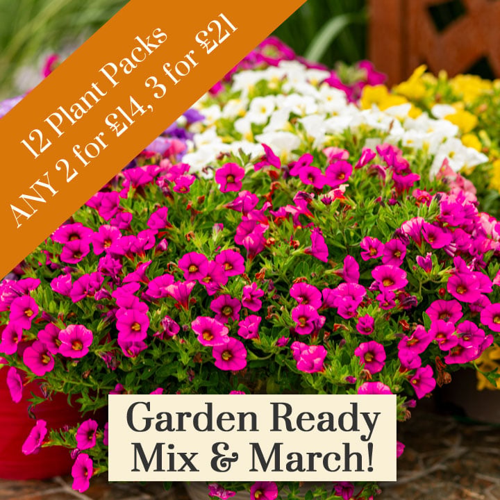 Deal of the Week - Garden Ready Mix & Match