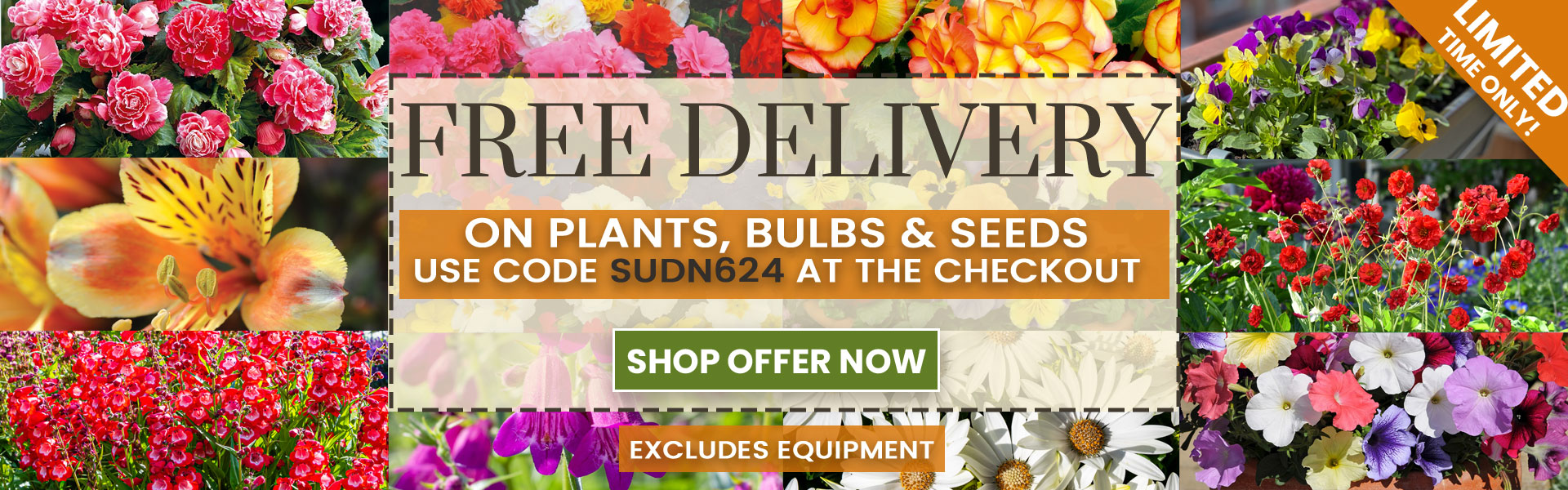 Dobies: Vegetables, Plants, Flowers, Seeds & Garden Supplies | Dobies