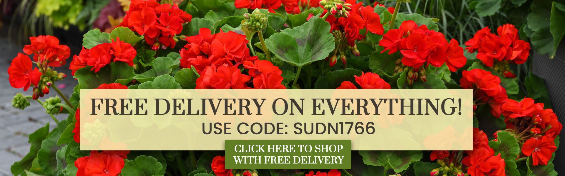 FREE DELIVERY