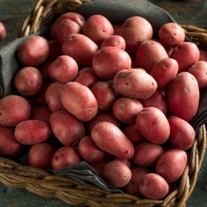 Late Season Seed Potatoes