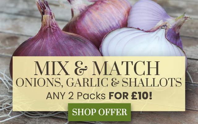 Onion, Garlic, Shallot Mix & Match