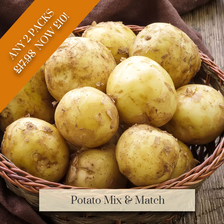 Deal of the Week - Potato Mix and Match