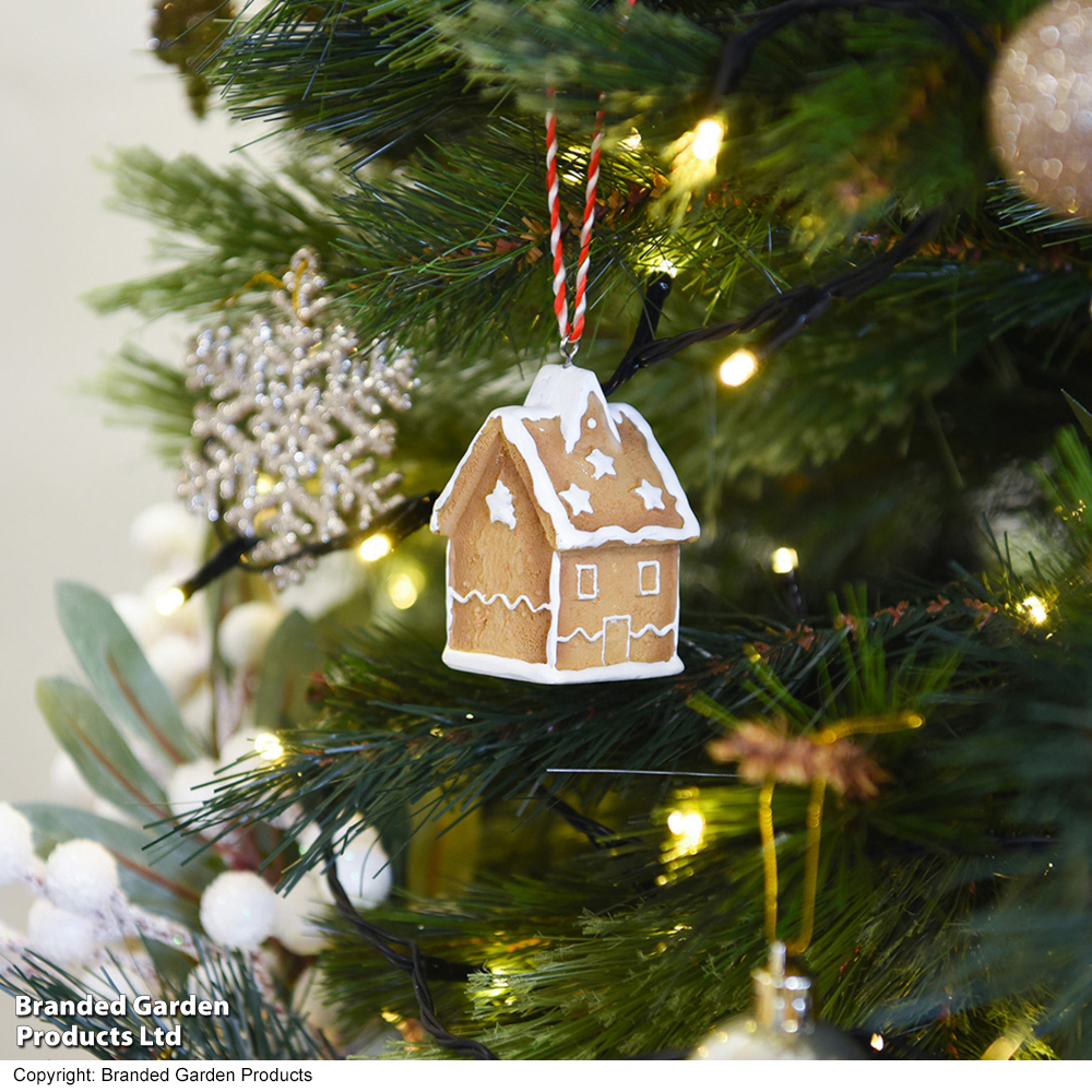 Gingerbread House high quality and Gingerbread Trees