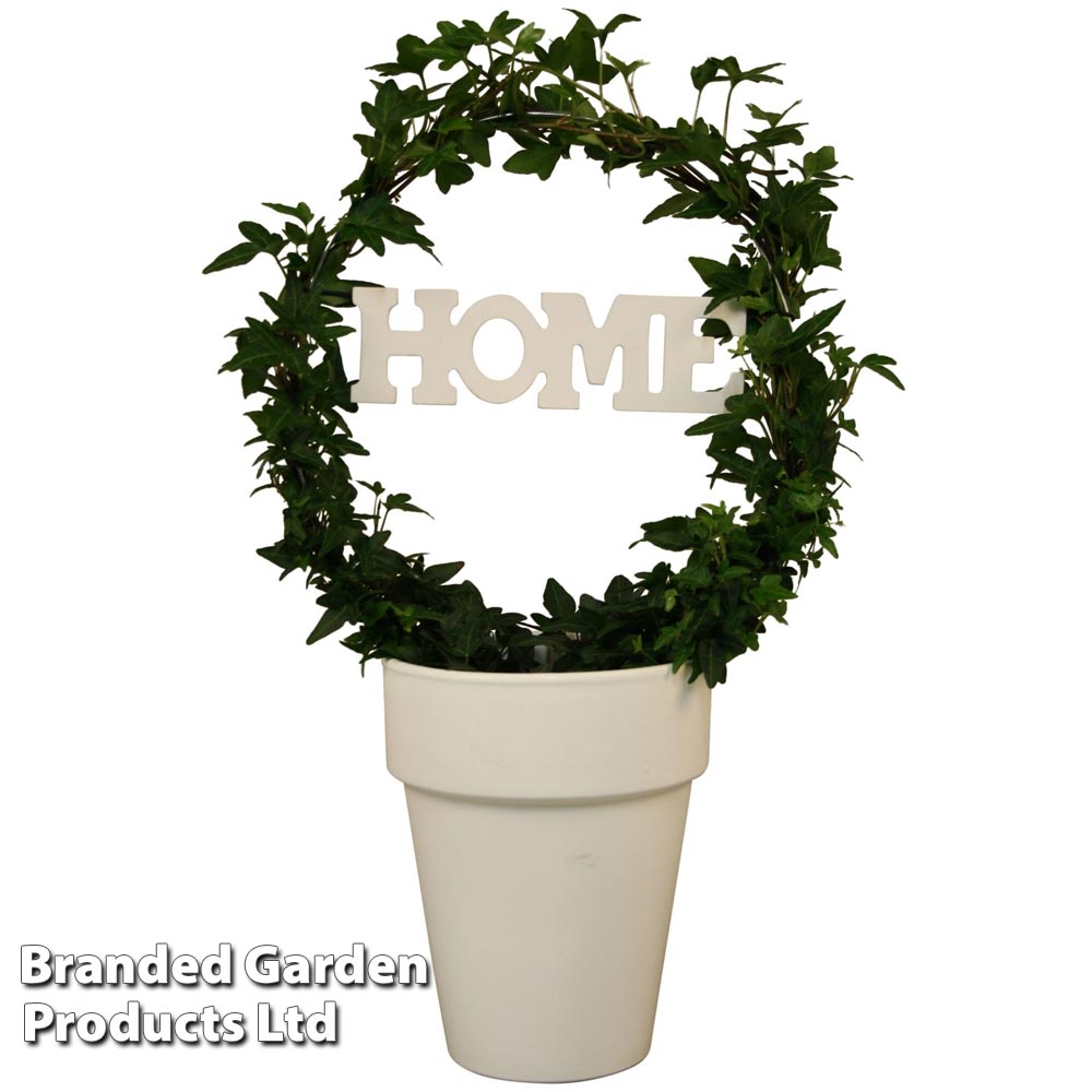 Hedera Home Hoop image