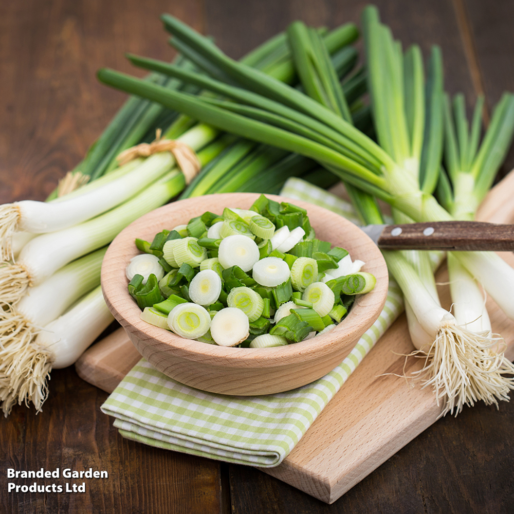 Onion 'White Lisbon Winter Hardy' - Seeds image