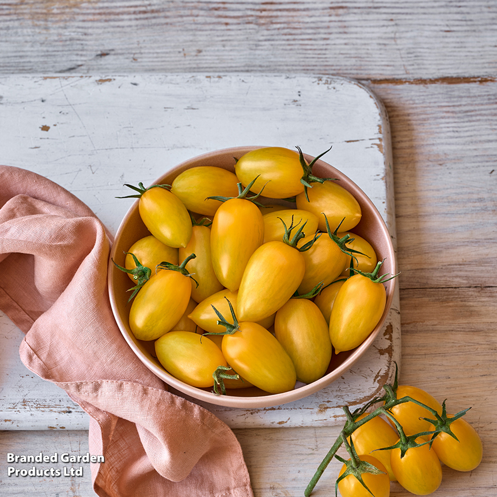 Tomato 'Bliss' F1 - Seeds image