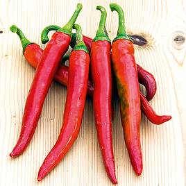 Chilli Pepper Romital F1 - Seeds