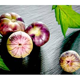 Tomatillo Purple - Seeds