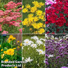 A Guide to Staking Plants and Training Perennials for the Best Blooms