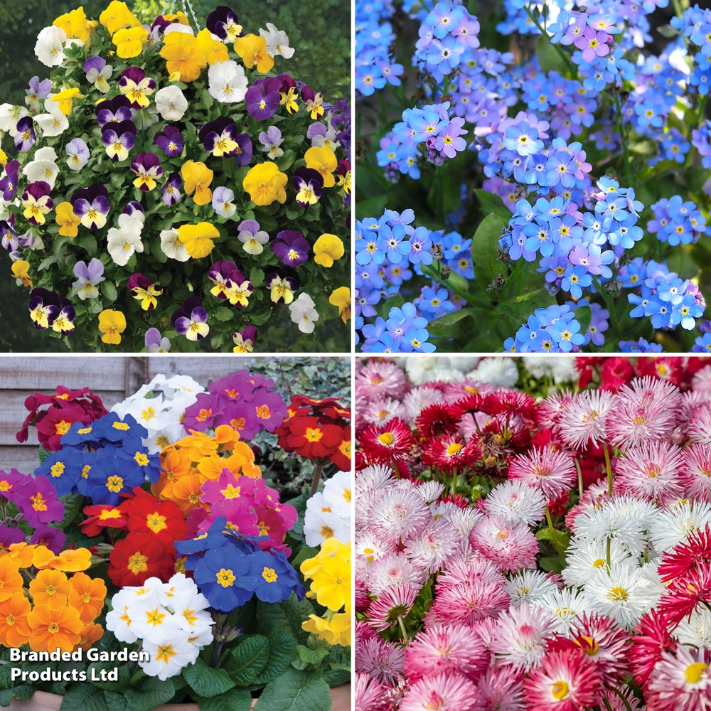 Early Spring Bedding Collection image