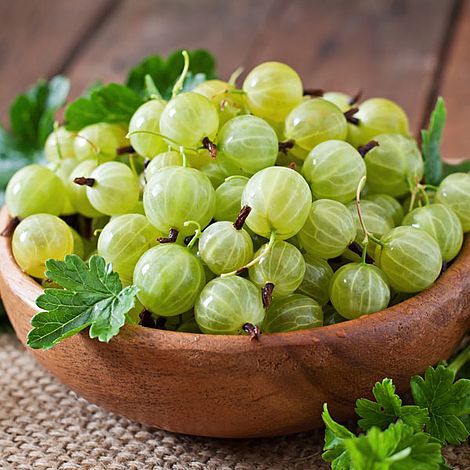 Gooseberry 'Hinnonmaki Green' image