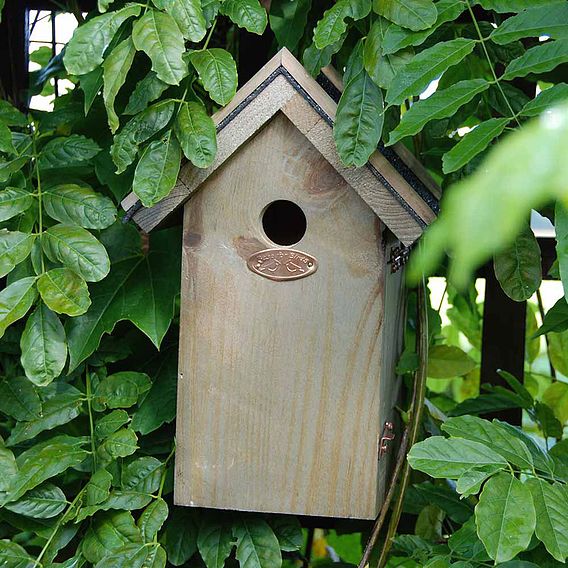 Blue Tit Bird Box - Bitumen Roof | Suttons | Dobies