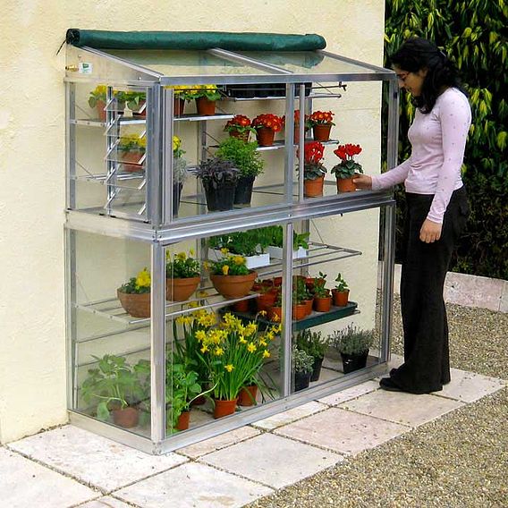 Deluxe 5' Harewood Midi Growhouse