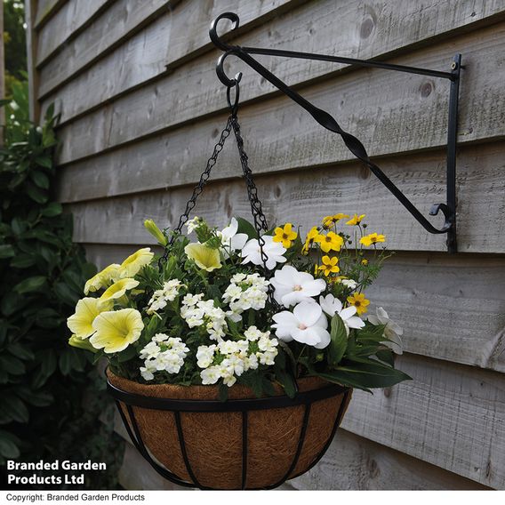 Garden Grow Hanging Basket & Liner