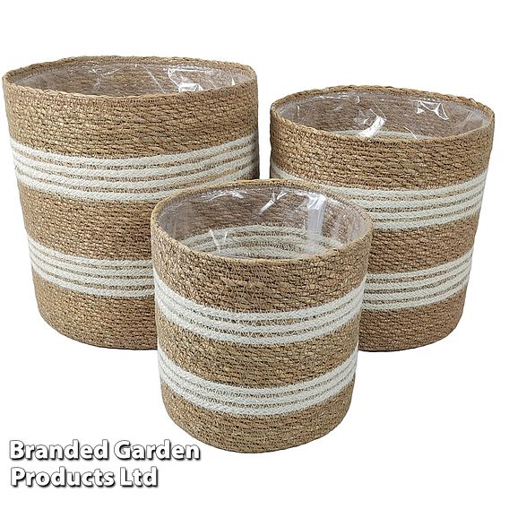 Natural Seagrass + Jute Planter Basket