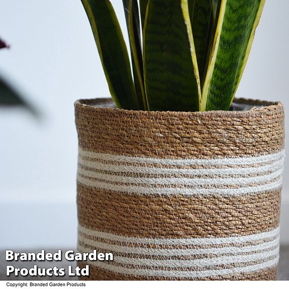 Natural Seagrass + Jute Planter Basket