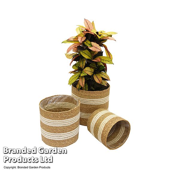 Natural Seagrass + Jute Planter Basket