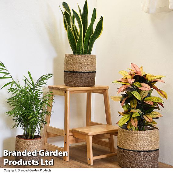 Natural Navy Seagrass Planter Basket