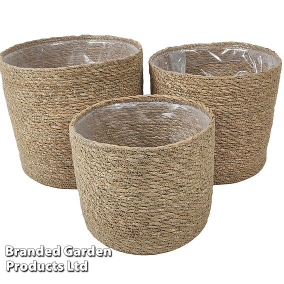 Natural Seagrass Planter Basket