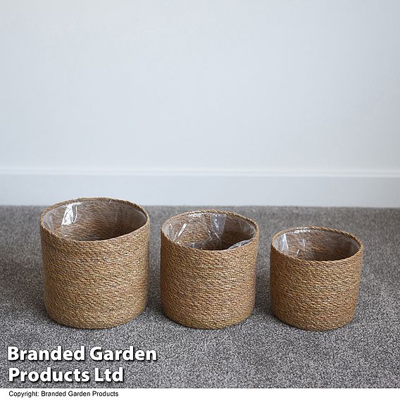 Natural Seagrass Planter Basket