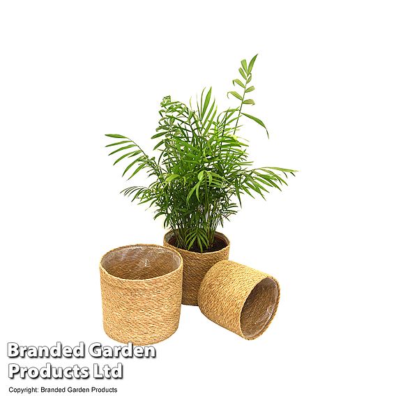 Natural Seagrass Planter Basket