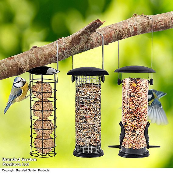 Bird Feeder Triple Pack and Feed Bundle