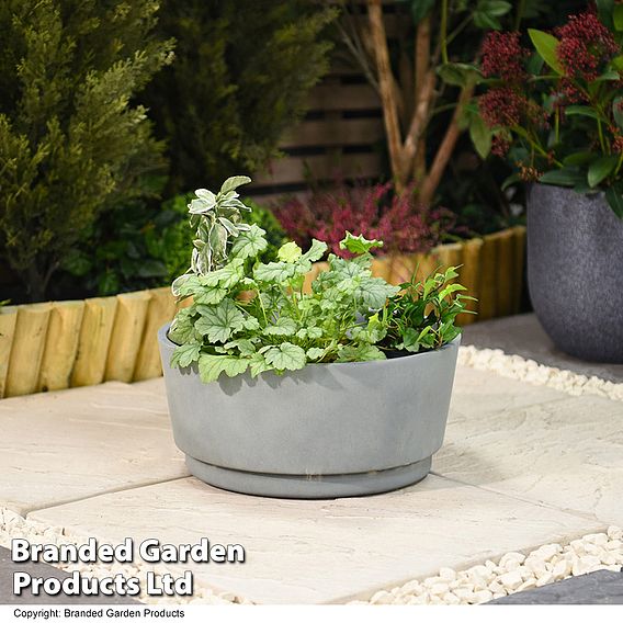 Caesar Concrete Effect Bowl Planter