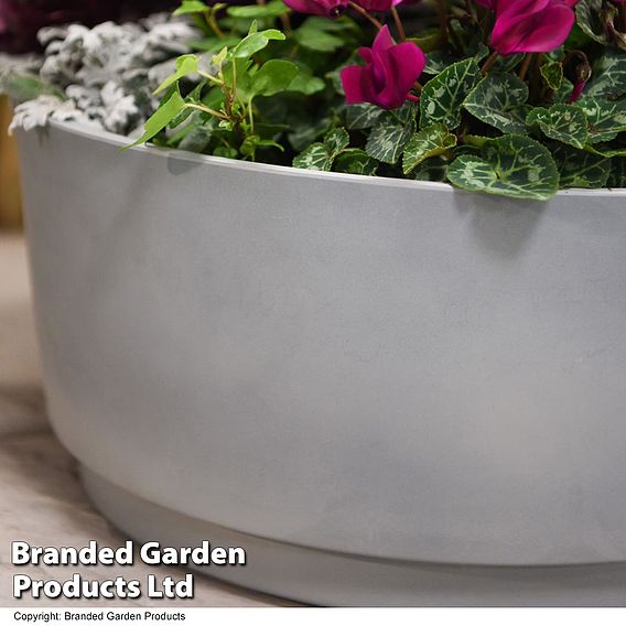 Caesar Concrete Effect Bowl Planter