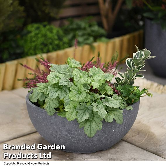 Bayadere Bowl Planter Dark Grey