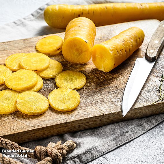 Carrot 'Yellow Moon' F1 - Seeds