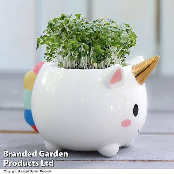 Unicorn Pot with Gold Horn