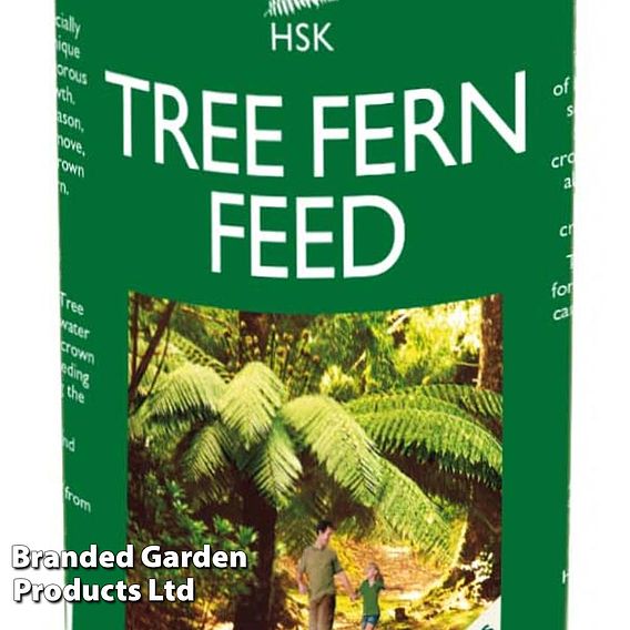 Tree Fern Feed