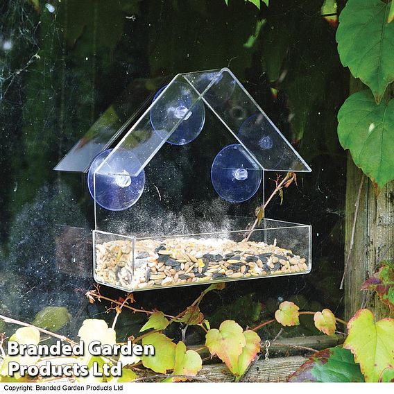 Kingfisher Plastic Window mounted Bird Feeder