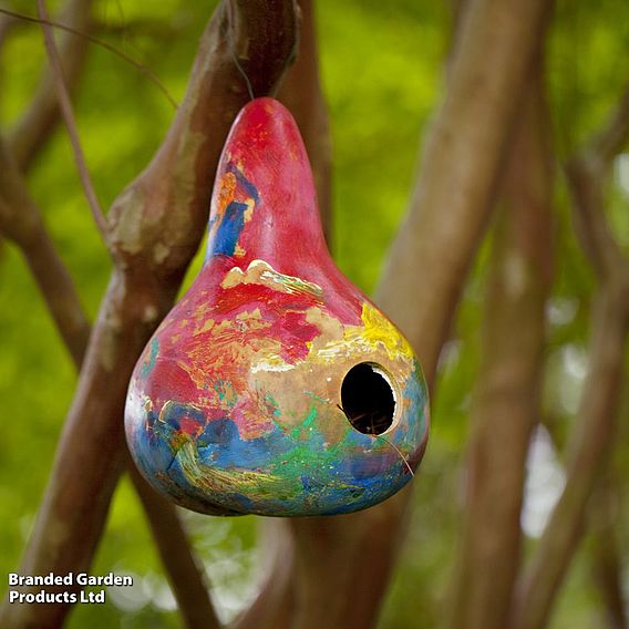 Gourd 'Bird House' - Seeds