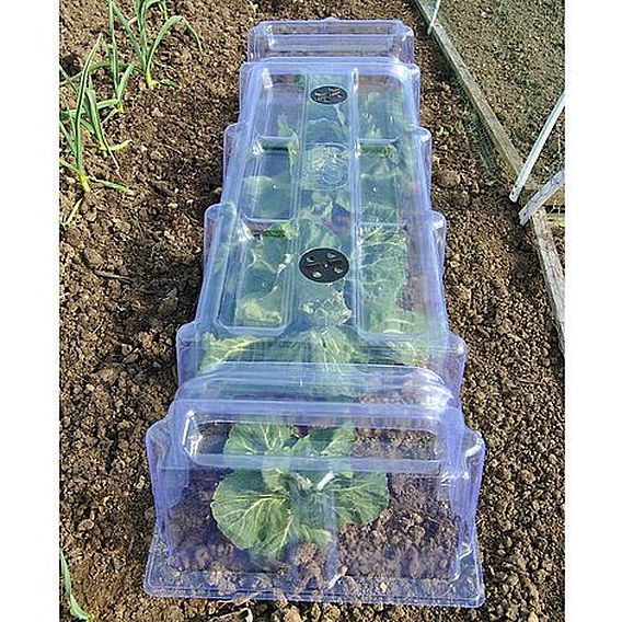 Mini Greenhouse Cloche