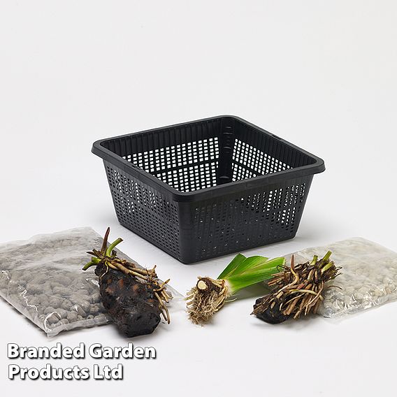 Patio Pond Plant Basket