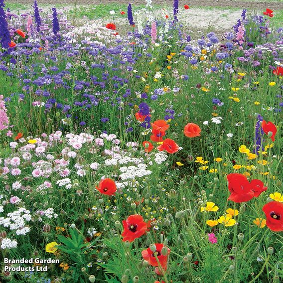 Flower Garden 'Annual and Perennial Mix' - Seeds