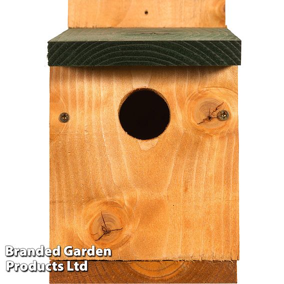 Classic Nest Box with Green Roof