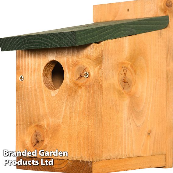 Classic Nest Box with Green Roof