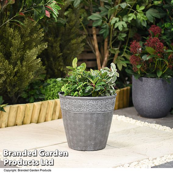 Damask Lead Effect Planters