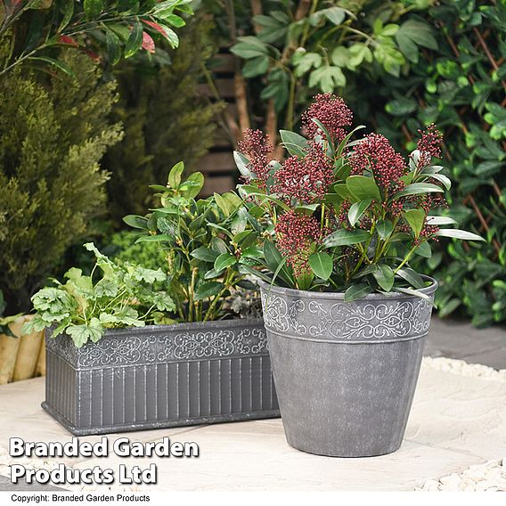 Damask Lead Effect Planters