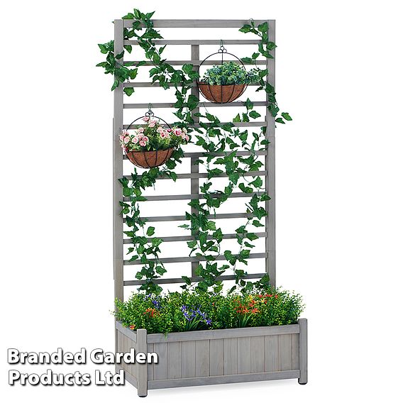 Raised Wooden Planter with Climbing Trellis