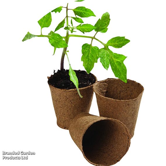 Fibre Grow Pots