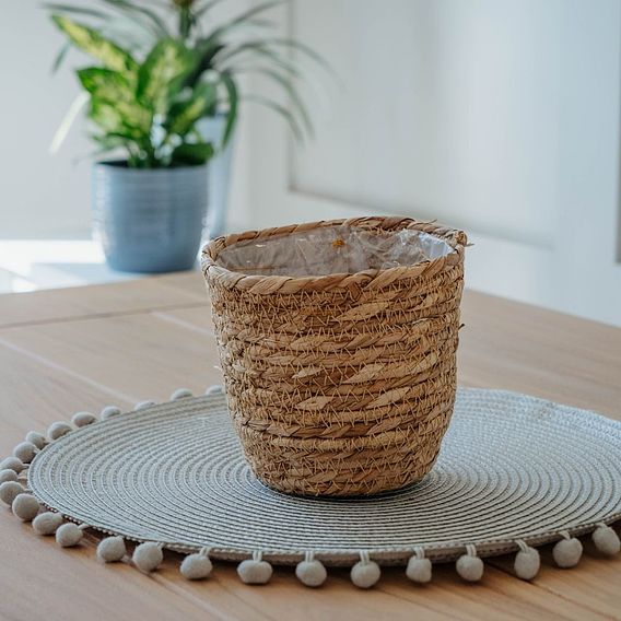 Osaka Straw Basket Pot