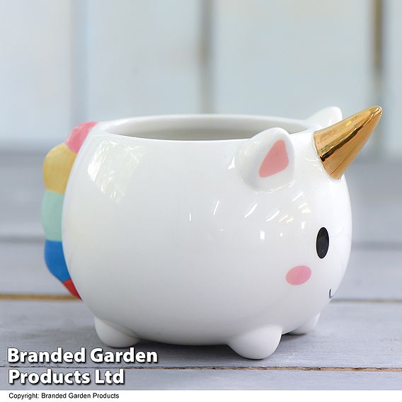 Unicorn Pot with Gold Horn