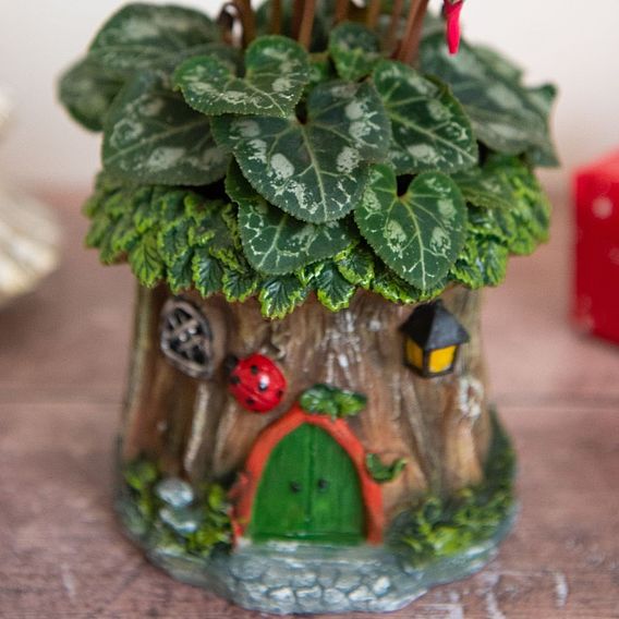 Woodland Ladybird Planter