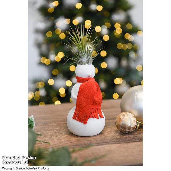 Spiky Haired Snowman - Gift