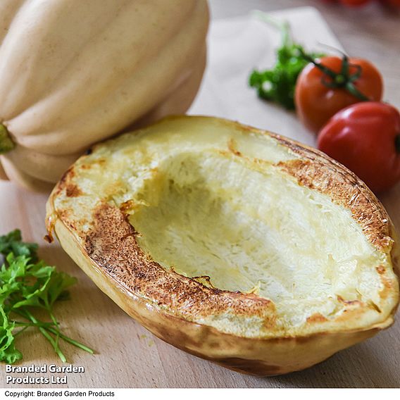 Squash 'Mashed & Baked Potatoes' (Winter) - Seeds