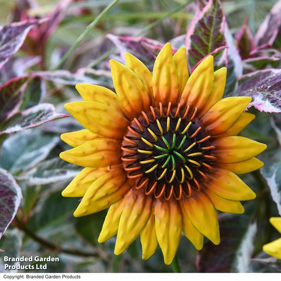 Garden Gear Metal Sunflower Stakes