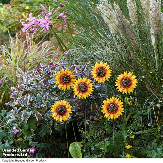 Garden Gear Metal Sunflower Stakes